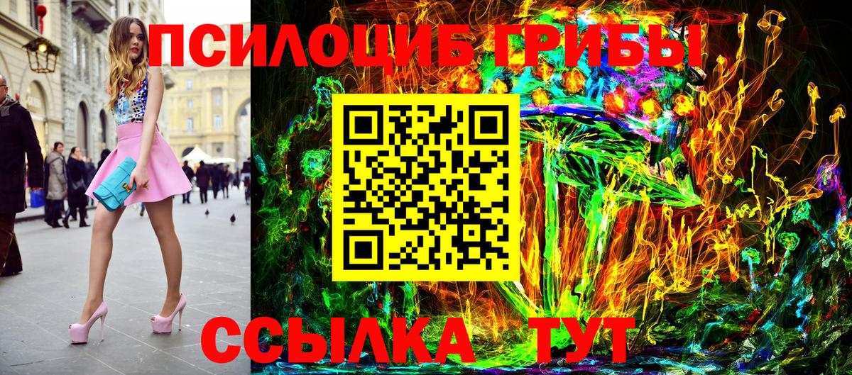 Энгельс  Псилоцибиновые грибы Psilocybine cubensis  Вход с VPN 